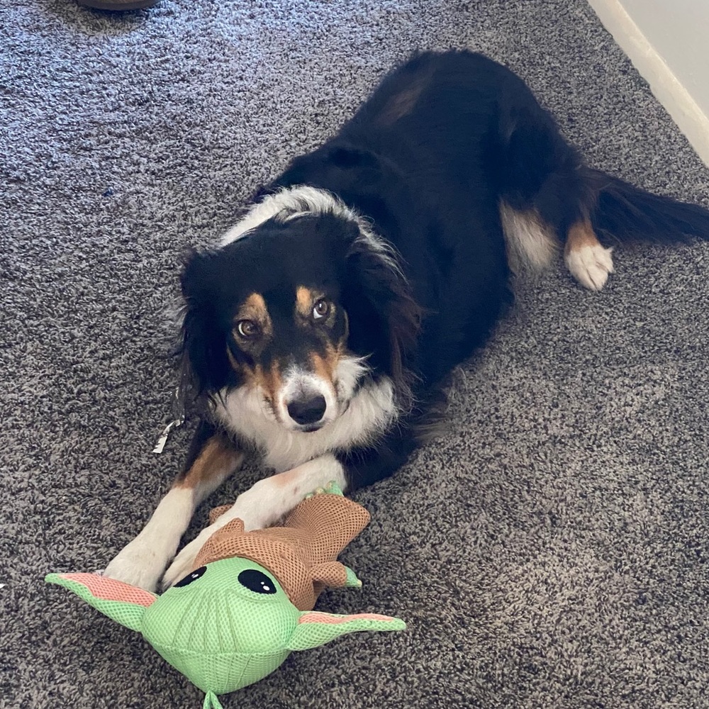 Meet your Posher, Mikayla